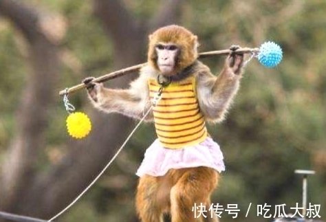 后西游记@2首好玩又犀利的古诗词,妙趣横生,让人会心一笑