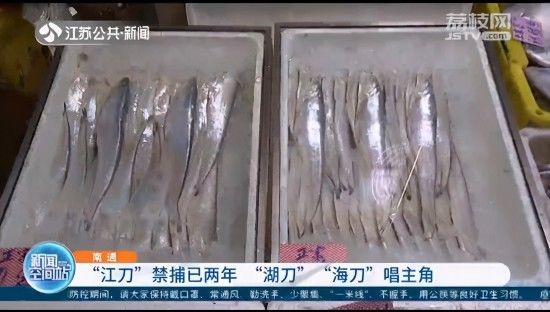 长江刀鱼禁捕已两年 “湖刀”“海刀”唱主角