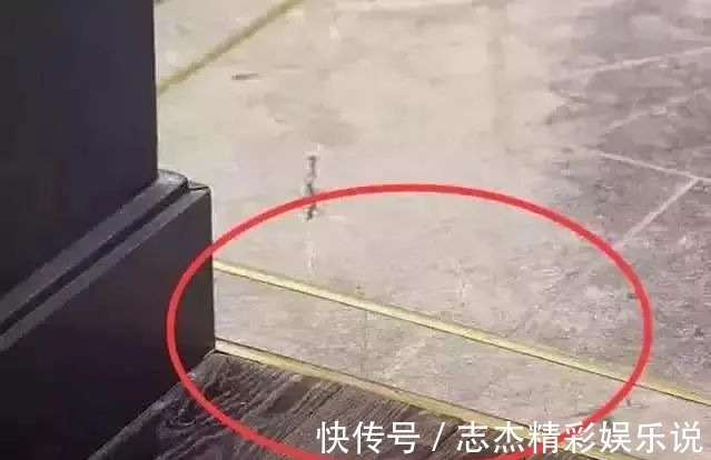 家庭|越来越多的家庭不流行做门槛石，而是换成了这种，你家呢？