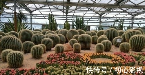 景点|北京一处植物天堂，有15个温室15个花园广场，就在四环内公交可达