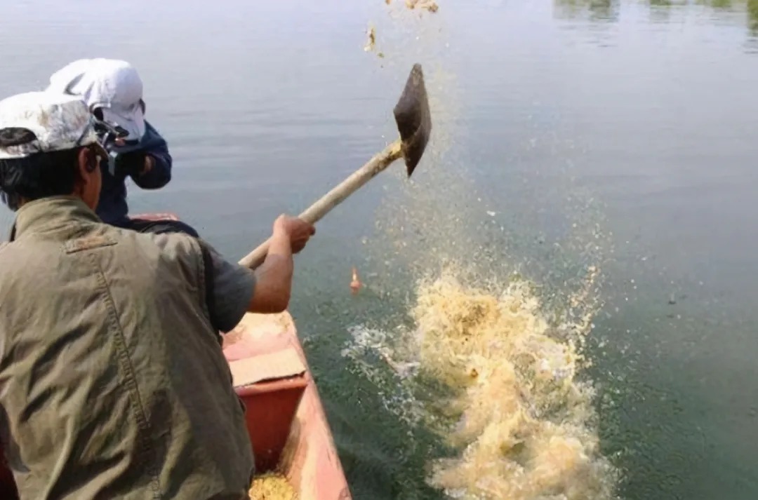 打完窝后，半天都没鱼咬钩？二十年老司机道破真相，后悔才晓得