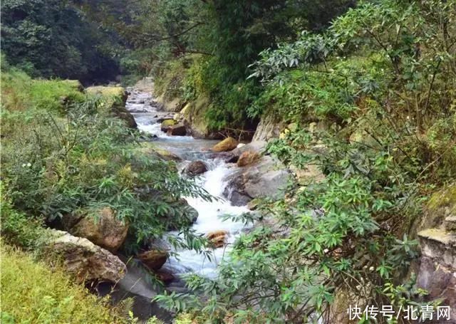 中年|峨眉后山这个4A级景区恢复开放！青山延绵、云雾缭绕