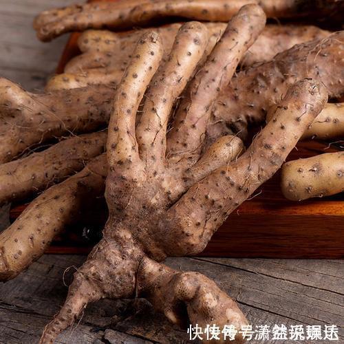 神农本草经|补气是“提高免疫力”最快方法,一味中药补肺气、补脾气、补肾气