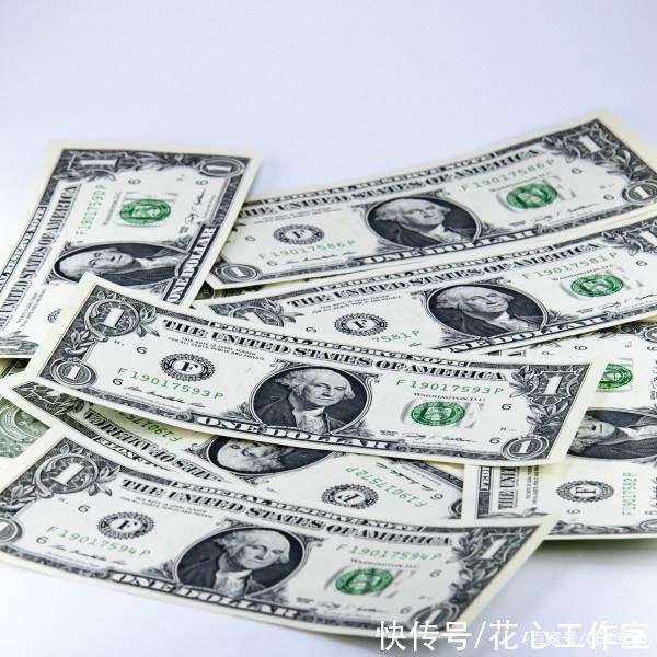  美元|《美元纸币特写》双尾蝎-协助拍摄