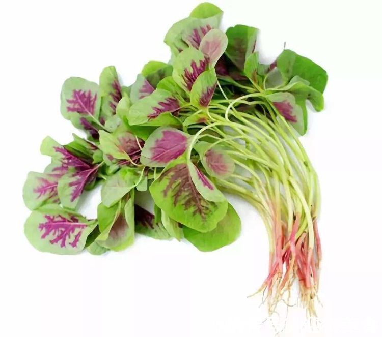 张医师|想长寿要先会吃,3种食物离不开,排毒养颜,增强体质