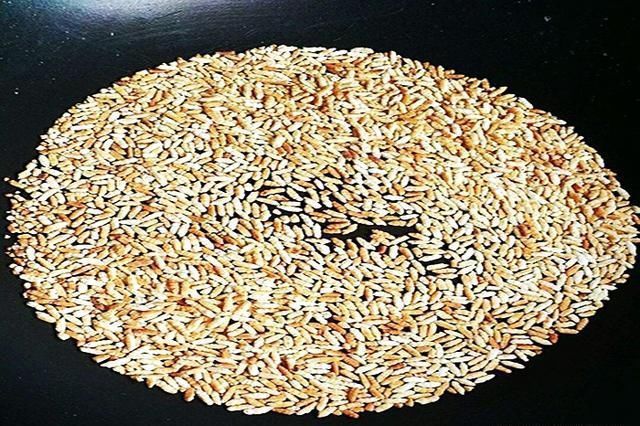 做出来|自制酒米鱼不吃不是鱼“挑食”,问题出在这些地方