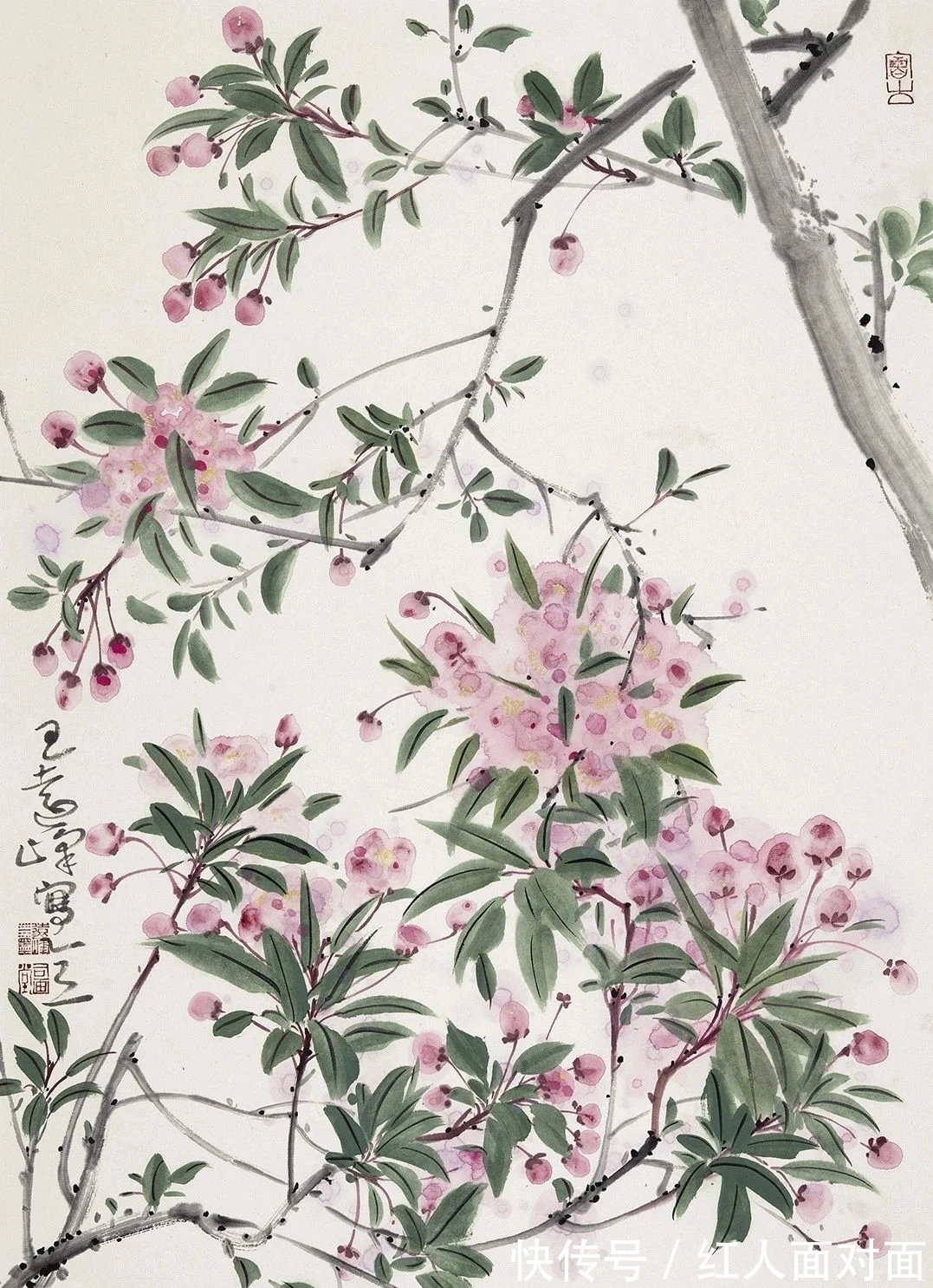 花鸟画@画面的多样性|王远峰花鸟画