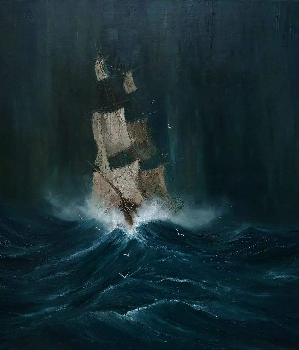 波兰女艺术家Justyna Kopania