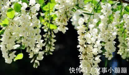 身体|好食物吃出好身体，3种食物不可少，排毒养颜，有益健康！