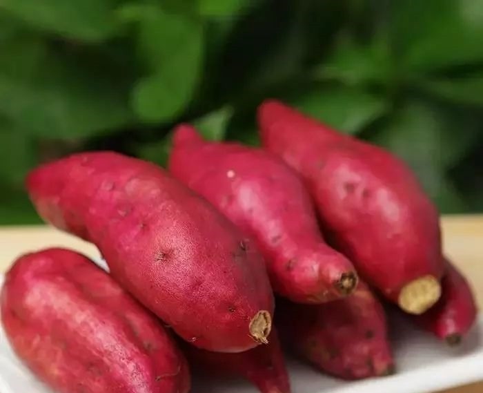 种减|9种减脂主食推荐