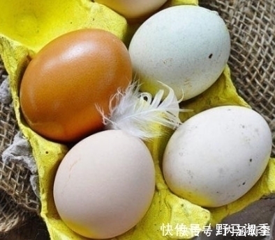 强身健体|买鸡蛋时,学会认清“人造蛋”,教你几招,以后一挑一个准!