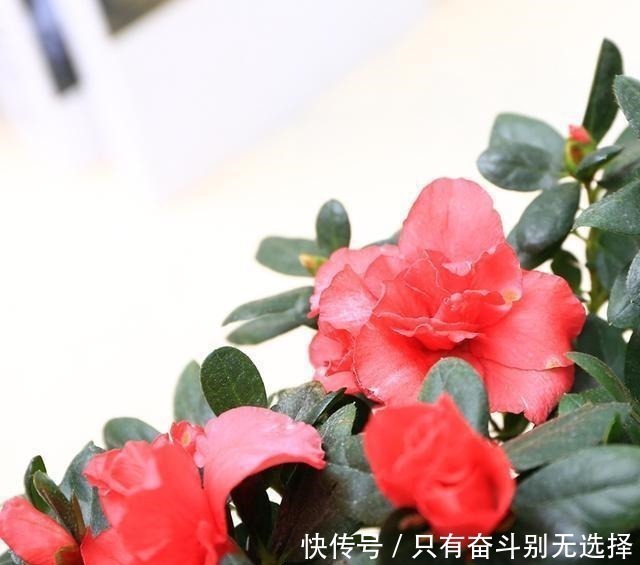 3d|我滴妈呀! 这户人真聪明, 只需在阳台加这个, 即使天天下雨也不愁!