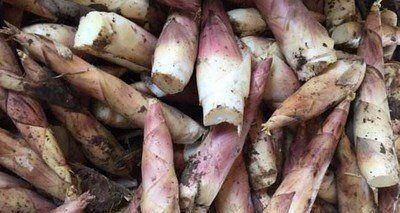 喝酒|尿酸高的“元凶”找到了,喝酒不算啥,“它”才是第一名