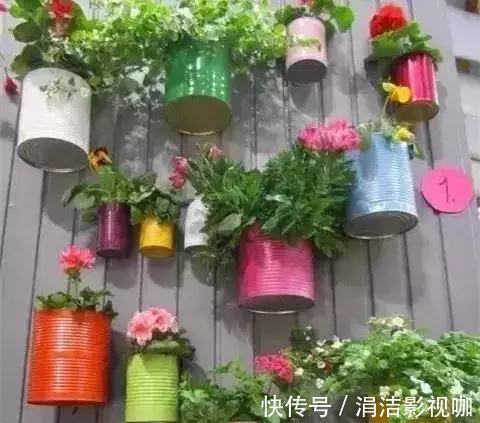 她从不买“花盆”,种出来的花却美的让人称赞,朋友都来向她学习