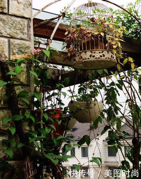 50㎡露台打造“空中花园”，每天看着精心培育的花儿，惬意啊！