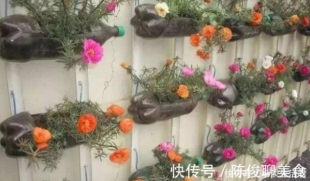 漂亮|这些破烂不要扔，做成“小花盆”，个性又漂亮，比买的强“百倍”！