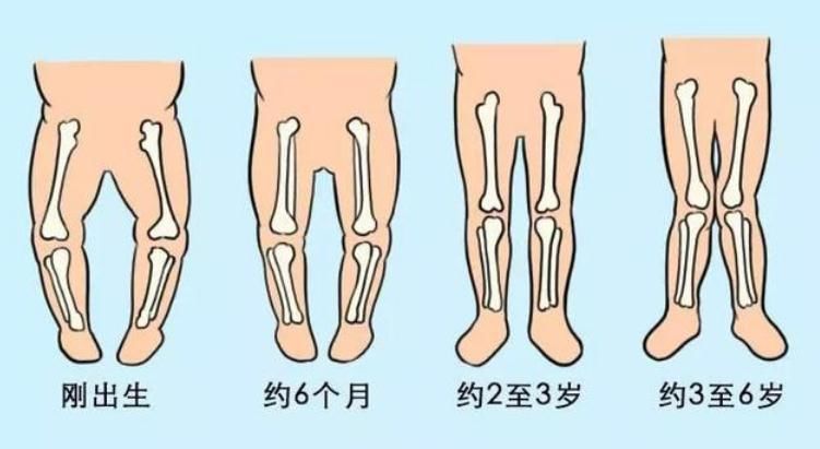 家长|学步早的宝宝更聪明？最佳学步时间是这个月份，家长别被忽悠了