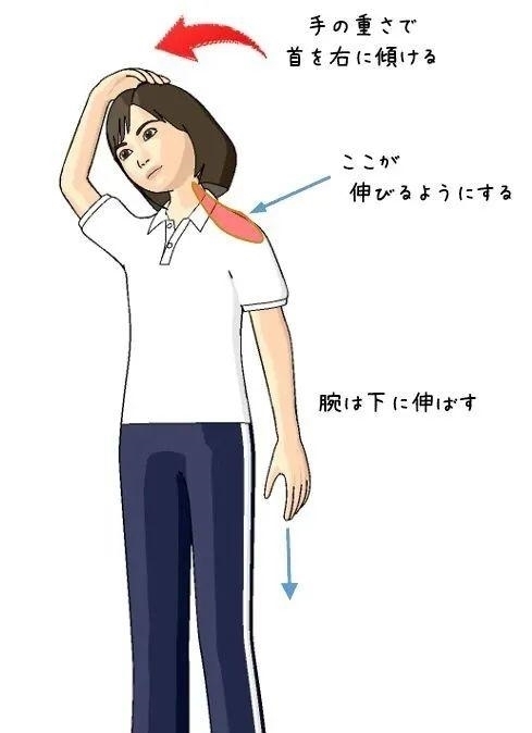 谣言|关于斜方肌的谣言，适可而止吧！