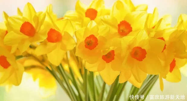  故事|《四世同堂》主要讲述的是几代家庭在战争中的悲欢离合故事