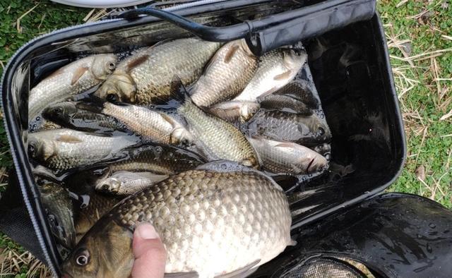 冬季钓鱼,5小5不钓,冬钓爆护还是空军,基本都概括在其中了