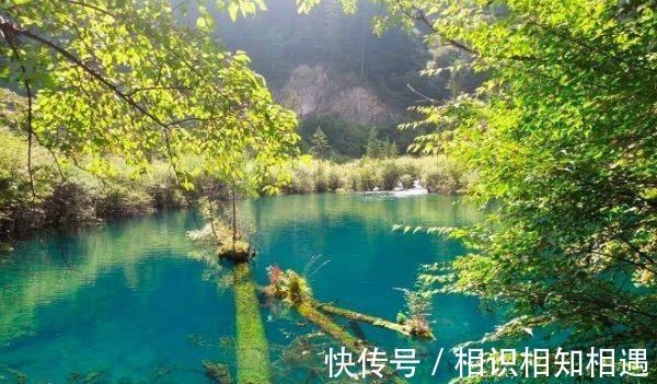 醉赠刘二十八使君|刘禹锡一首千古绝句让白居易甘拜下风