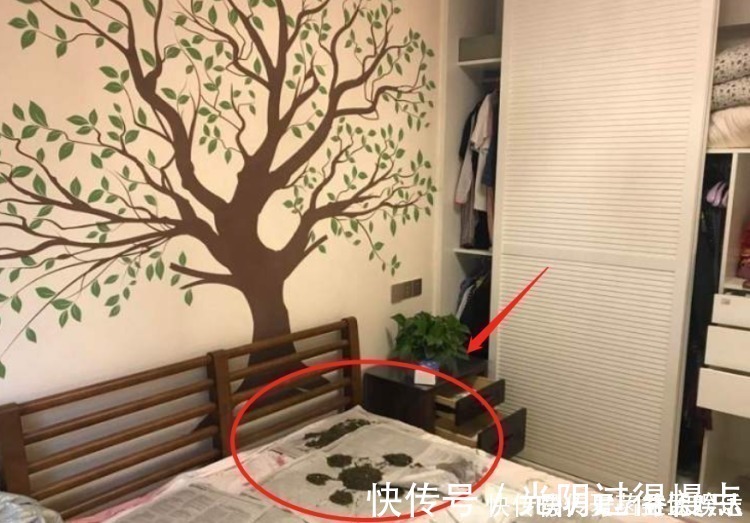 开窗|新房刚装完直接开窗通风,差点把房子给毁了,都是无知惹的祸