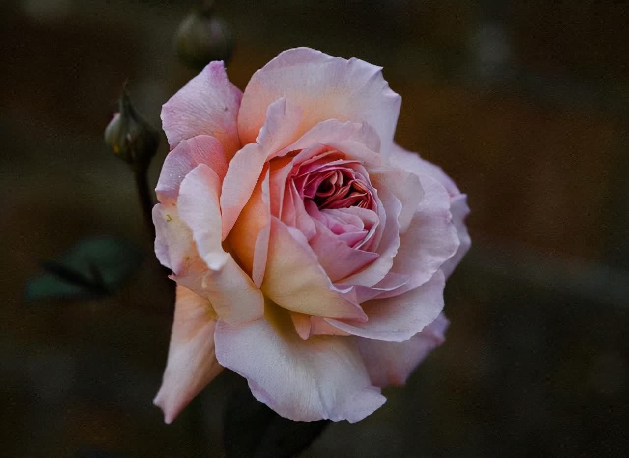 浮躁&做好这六件事,让浮躁的心静下来