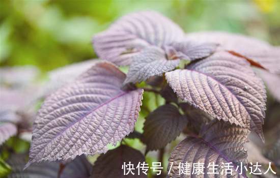 调理|糖尿病是怎么来的?常有7个感受,是血糖超标了,尽早调理