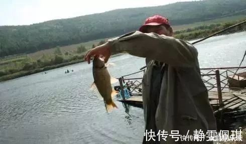 钓鱼比较费钱成本不足半瓶维它米，钓上来128斤鲫鱼