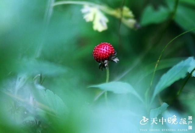 王建成|西山：点点滴滴皆风景