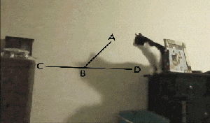 |搞笑GIF：哥们，你这妙招很不错，我咋就没想到呢