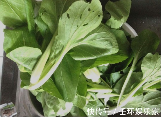 蔬菜|以下几种蔬菜不要贪便宜再吃了,为了家人的健康,进来看看