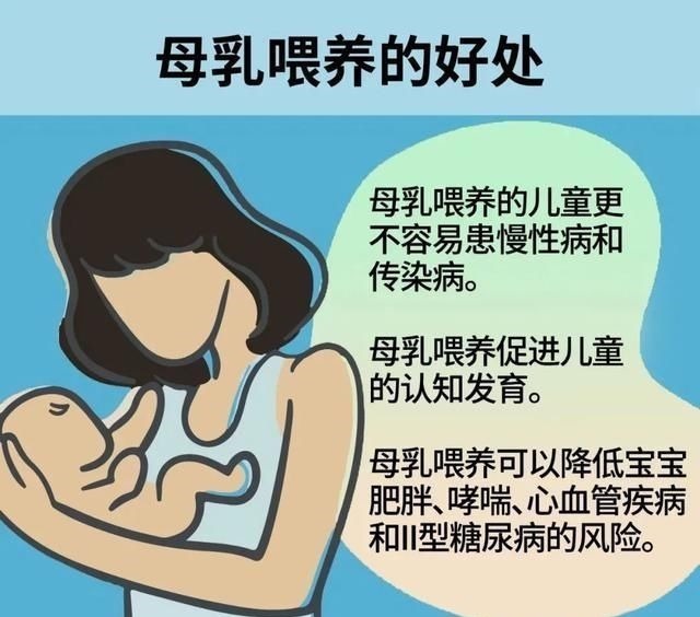 营养物质|世界母乳喂养周母乳喂养相关知识，一篇全知道