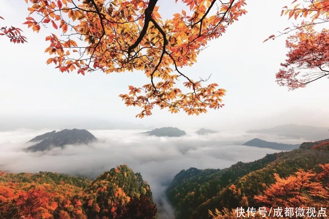 光雾山旅游景区，拟升5A级|喜报 | 景区