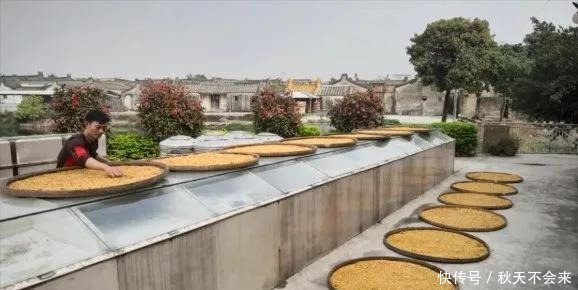 粤菜之所以高级,调味料也很努力哦!