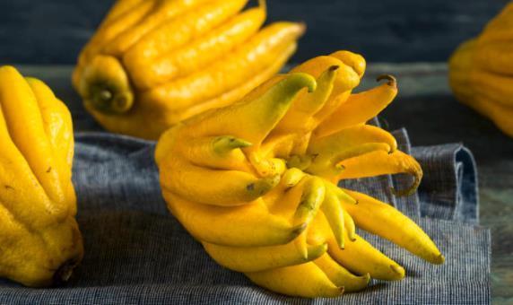 干姜粉|老中医总结:胃贵在养,7个食疗方赶走老胃病