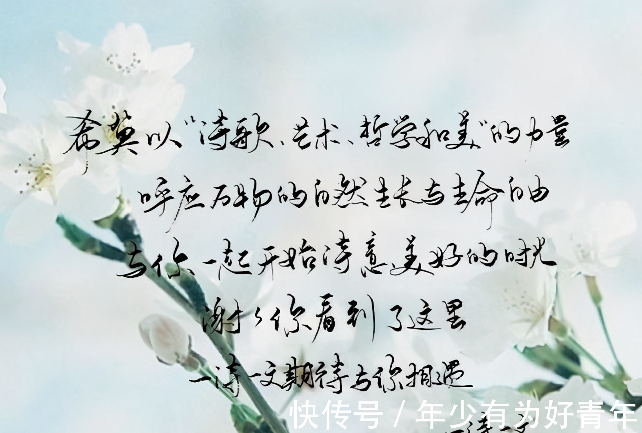 对影$折梅伴素琴,轻收一窗月,长夜好读书,煮茶待飞雪