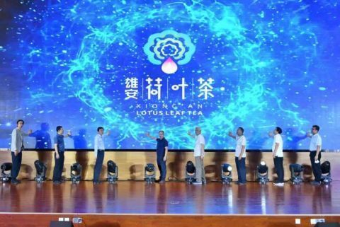 视窗|“荷叶茶香 沁雄安”雄安荷叶茶品牌创意设计大赛圆满落幕