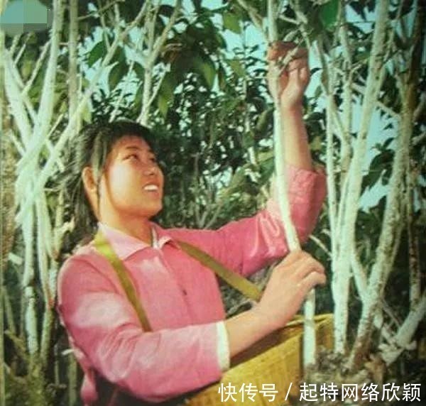 一组老照片追忆20世纪六十年代的中国美女