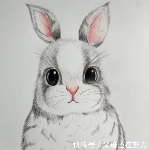 美术生画#美术生画兔子素描像，刚开始看不出是什么，看完后惊呆了