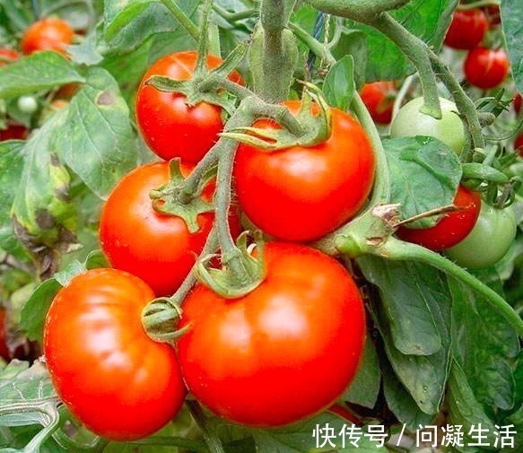 美容|女人到40不想长皱纹，多吃这5种保健水果，个个是宝，嫩肤美容