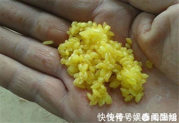 水底|草窝钓鲫鱼总挂底,老钓友教你2招来解决,告别挂底钓大鲫