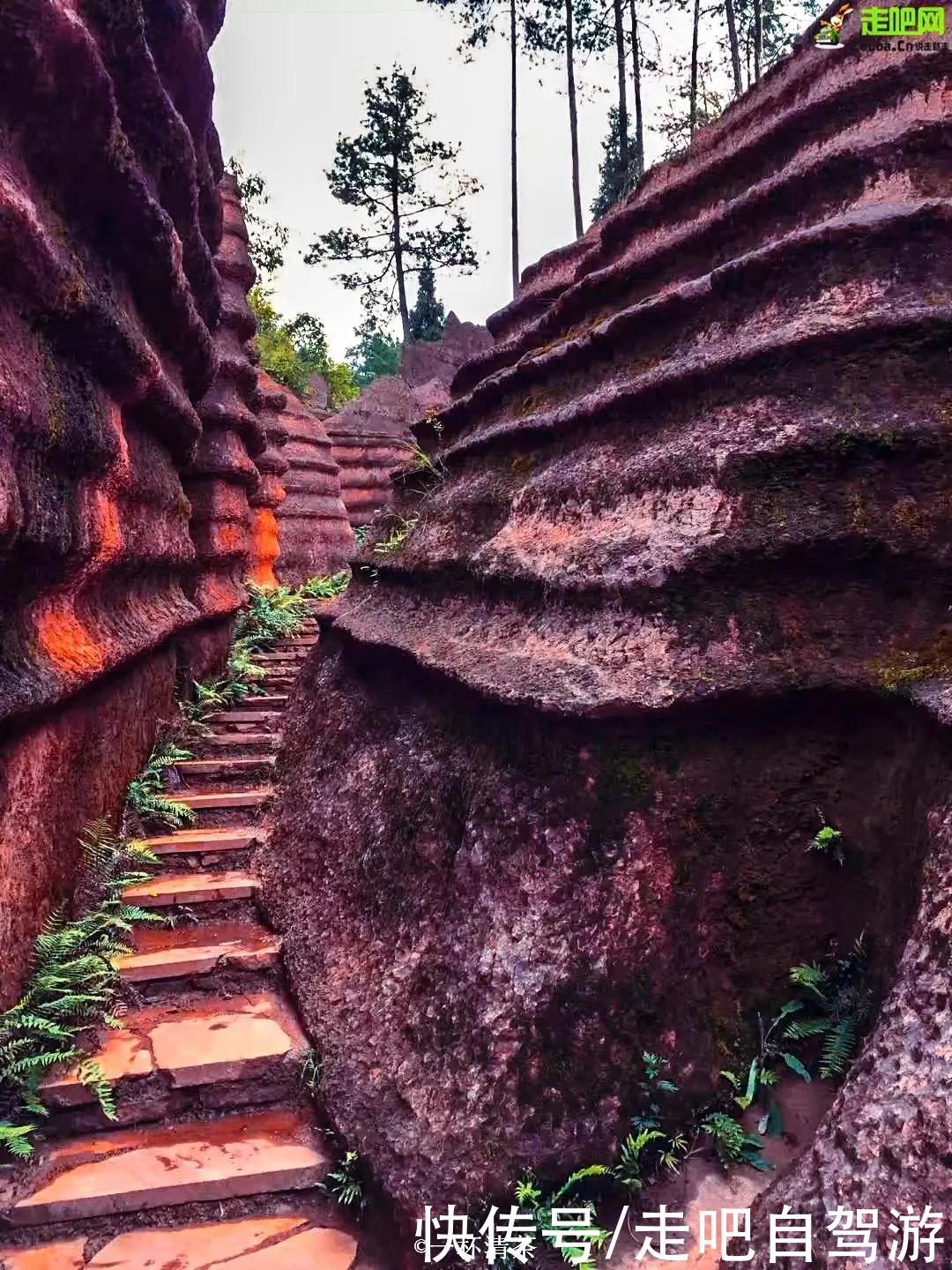 老年|这些公园，又仙又美，秒杀国内众多景点，很多人喜欢一去再去