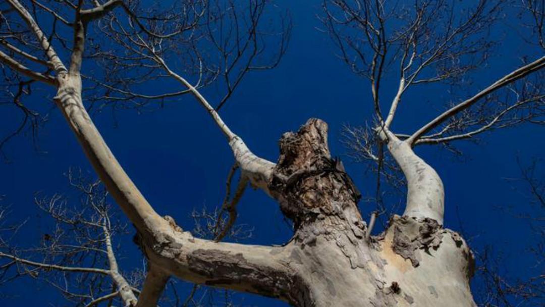 苏轼很有哲理的一首词,告诉了世人许多大道理:余生千万不能将就