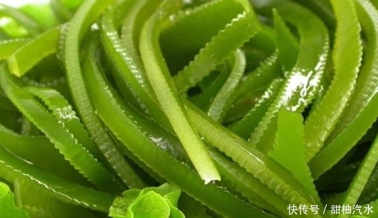 海带和此物一起煮,排出体内毒素,不贫血了,皮肤也更细腻