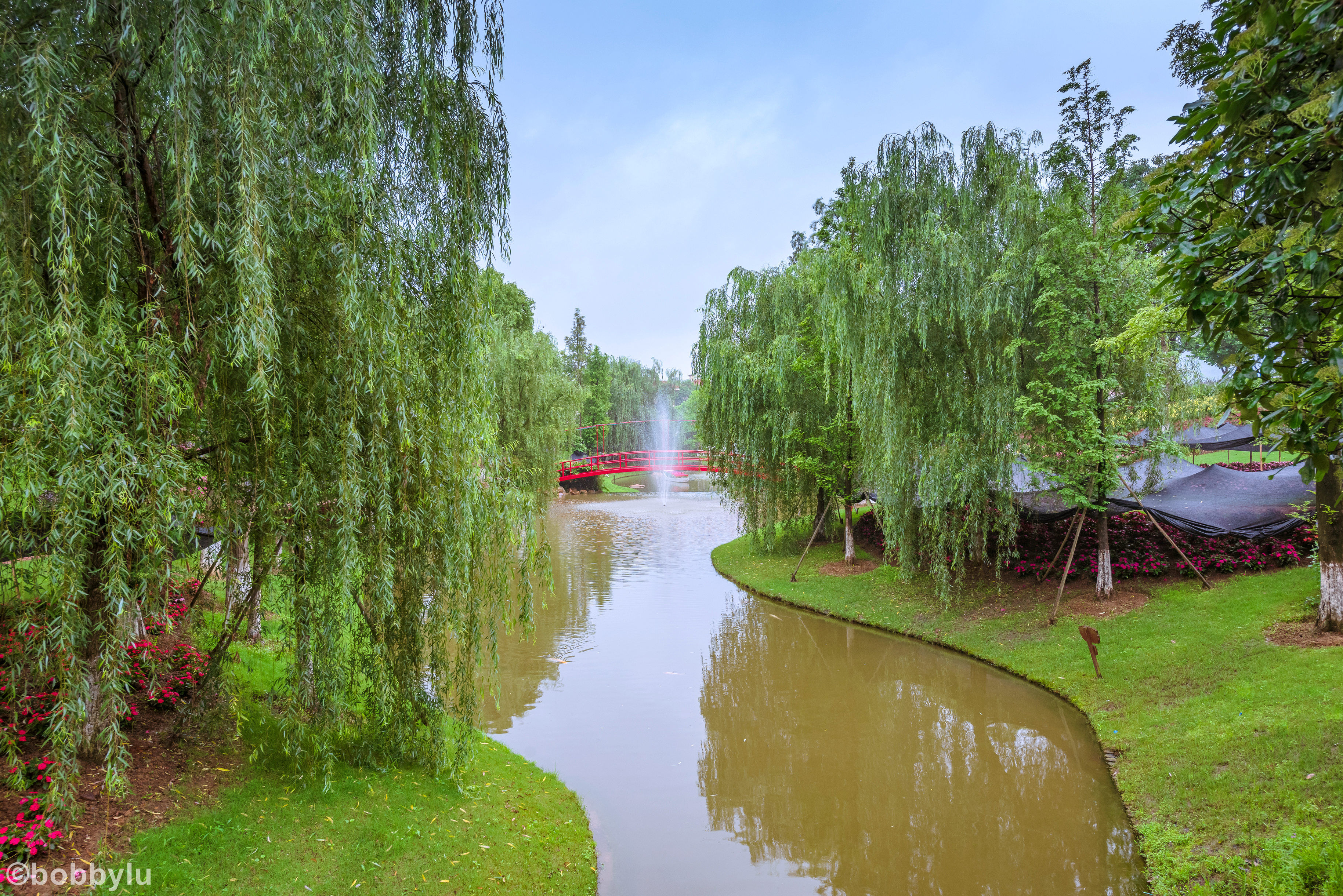 绣球|仲夏六月里感受醉氧之旅、花团锦簇间享受清凉一夏，醉美花谷奇缘