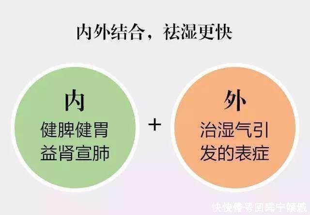 桂枝|千古除湿第一方,不伤体内正气,从根本上祛除湿气,用过的都说好