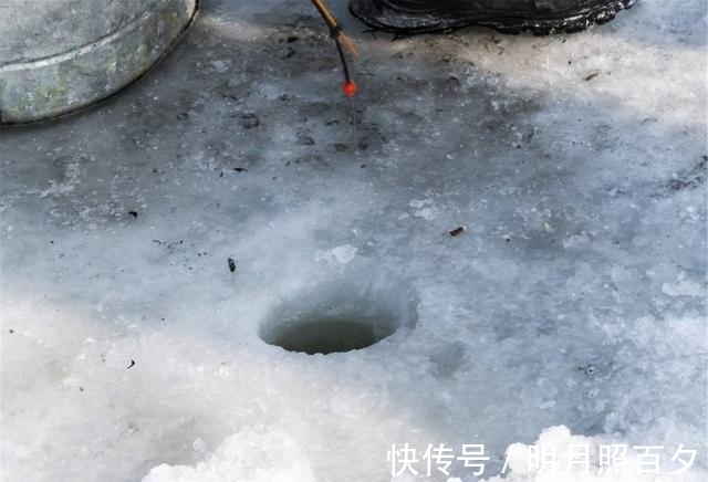 不打窝,诱鱼聚鱼都很快,这两种钓法,冬天野钓效果会更好