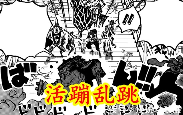 海贼王|海贼王1030:前有误解化险为夷,现有分身死里逃生,阿锦运气爆表
