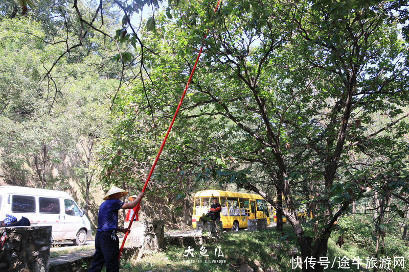 玻璃桥|落日余晖，一颦一笑染尽迷人秋色，遇见古老神秘之国—沂蒙山